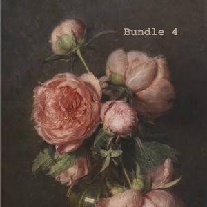 Bundle 4